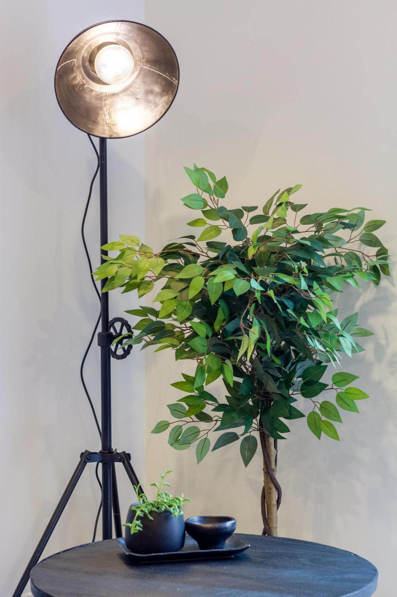 Merivale Gem: 2Br Townhouse Oasis Christchurch Kültér fotó
